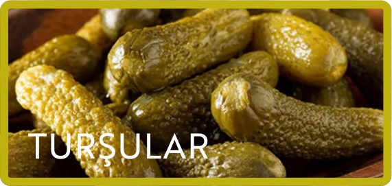 Turşu